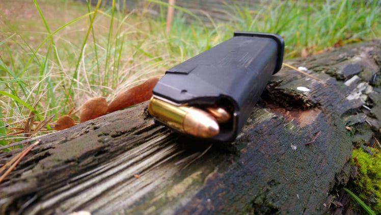 245619901 201652325412682 193028446606488351 n